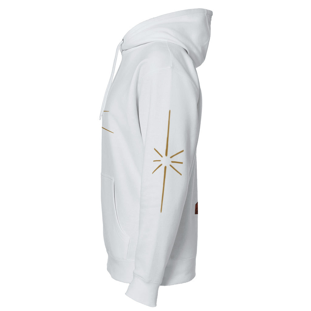 left sleeve_100